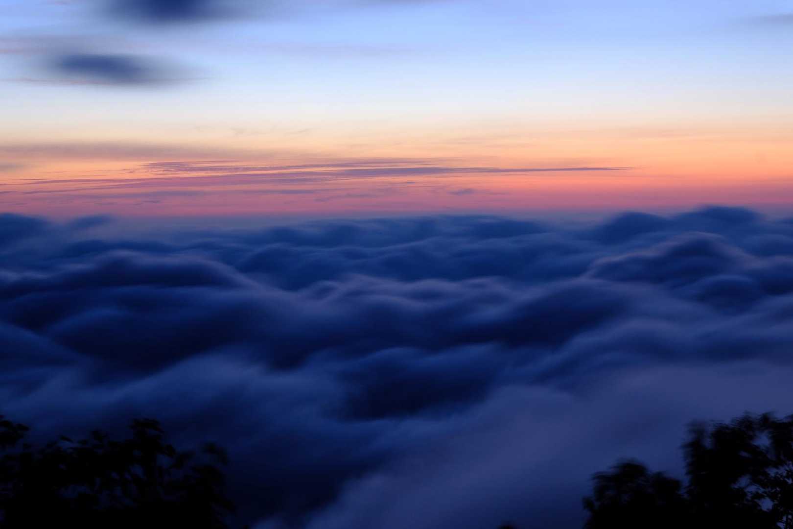早月尾根コース | 標高差2200m、北アルプス三大急登が試す「岩の殿堂」への道の写真
