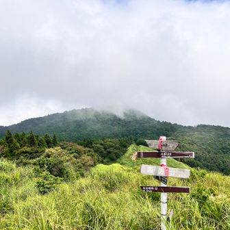 貫山頂方面もガスってる