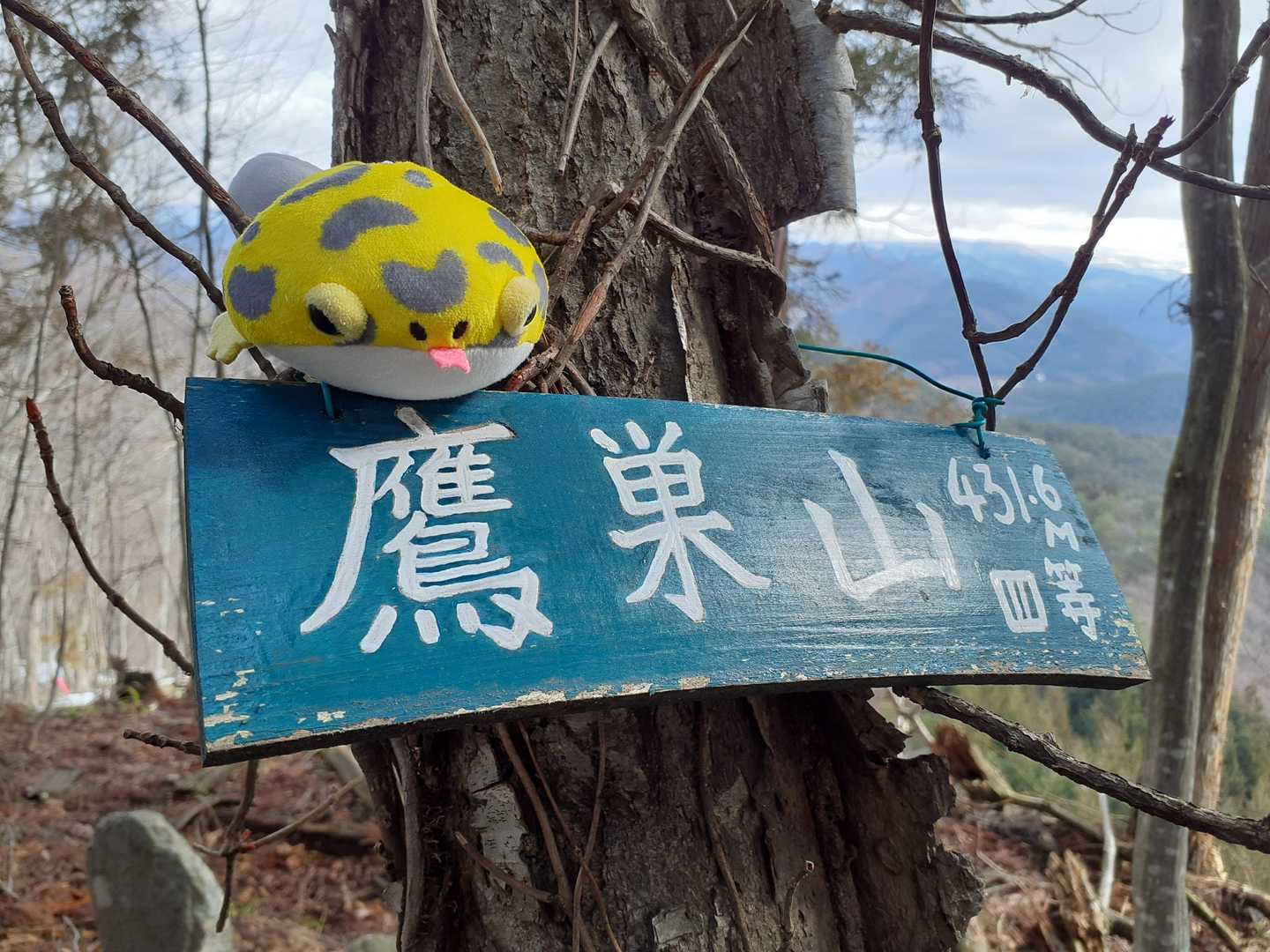 鷹巣山🗻さちGさんプレートかっけぇえ〜です🤭