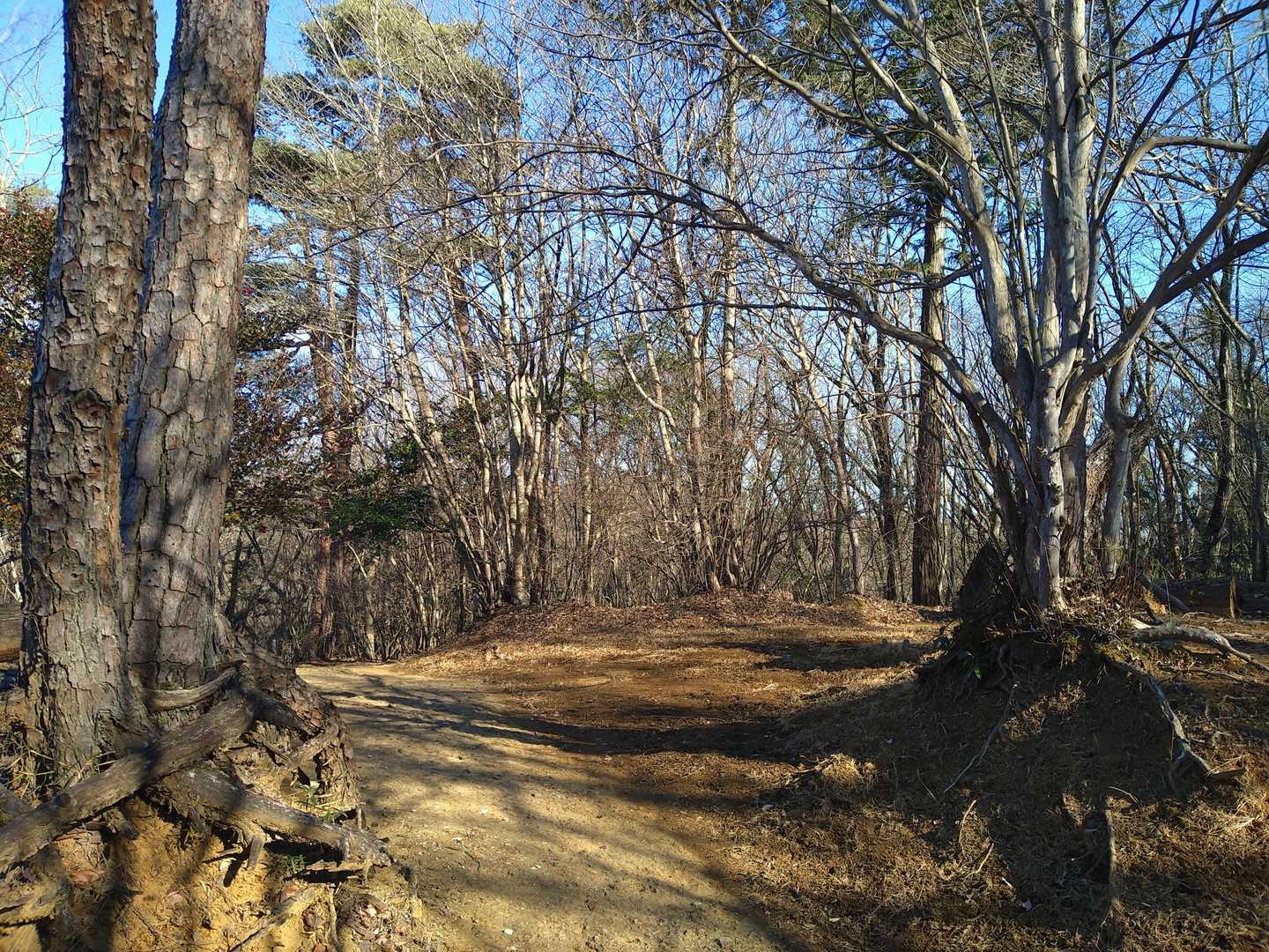 山頂に到着！山銘板はありません😅
