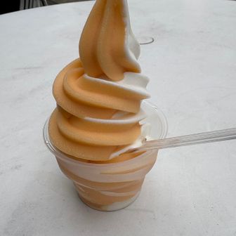 ケーブルカーの駅の売店に駆けつけて購入したソフトクリーム。暑かったので、最高に美味かった‼️

茨城県特産のメロンを使ったクインシーメロンミックス