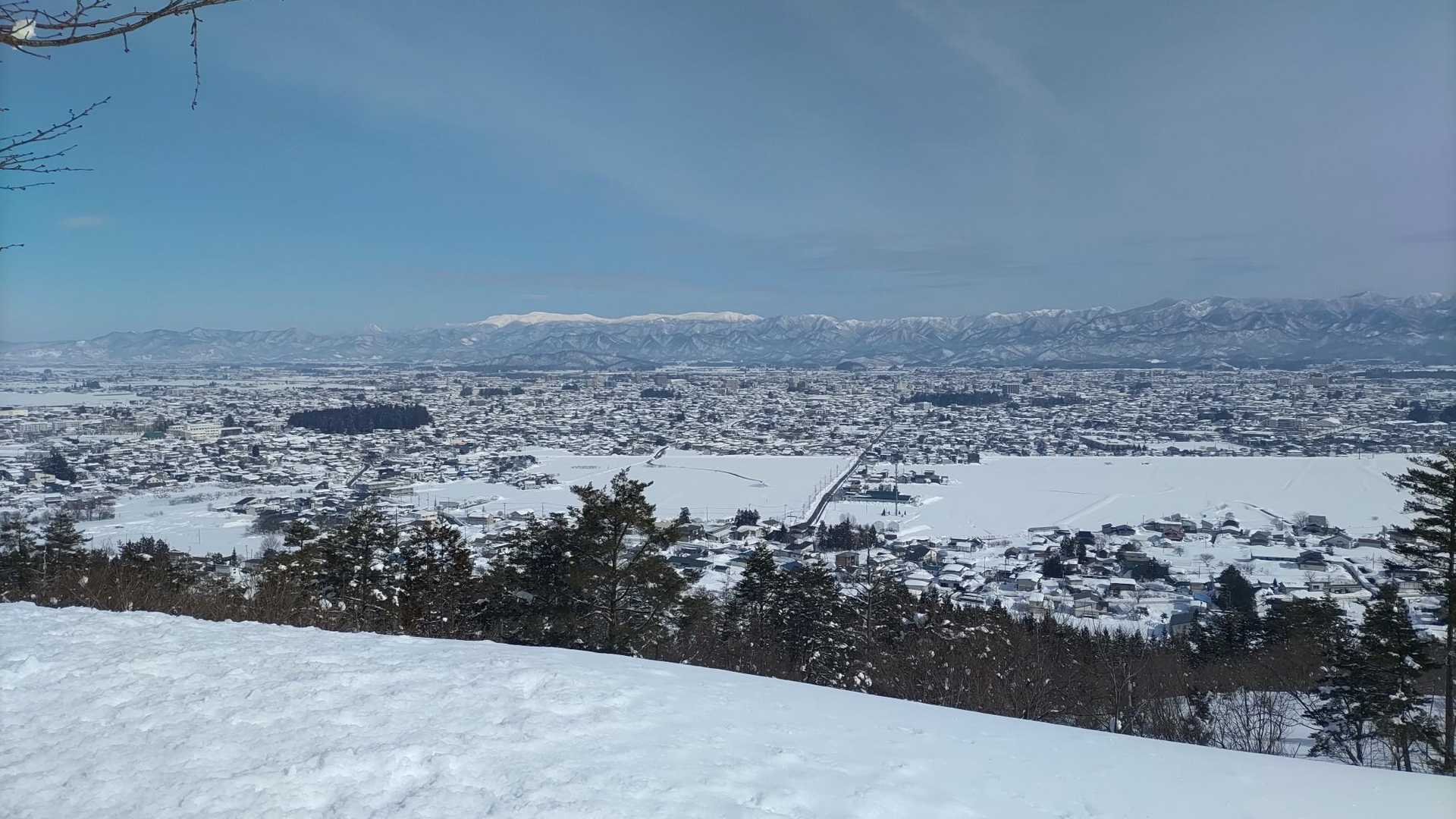 愛宕山 往復コースの写真