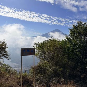 毛無山山頂