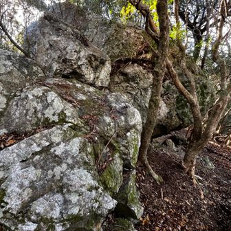 岩の下を巻いていく
