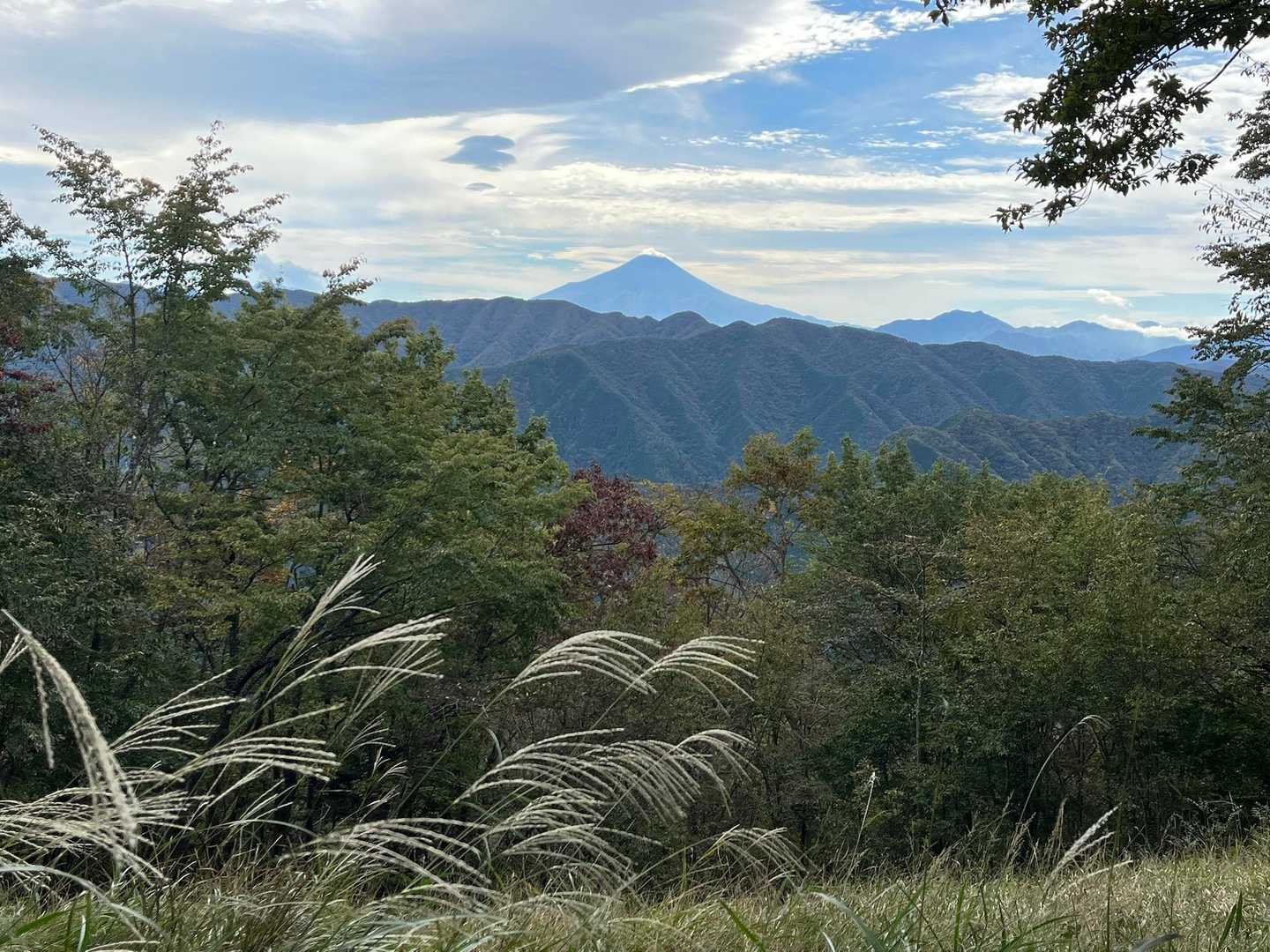 槇寄山からも富士山が見えました🗻