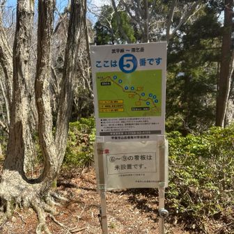 ここ山頂やたか？