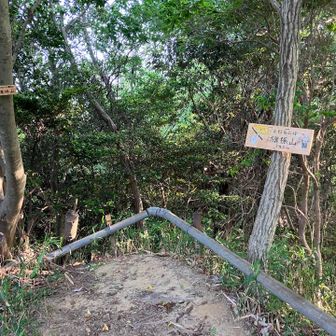 旗振山。江戸時代から明治初期にかけて堂島の米相場を知らせる旗振り通信の中継点として利用されていたようですが、今では鬱蒼として見通し悪いです💦