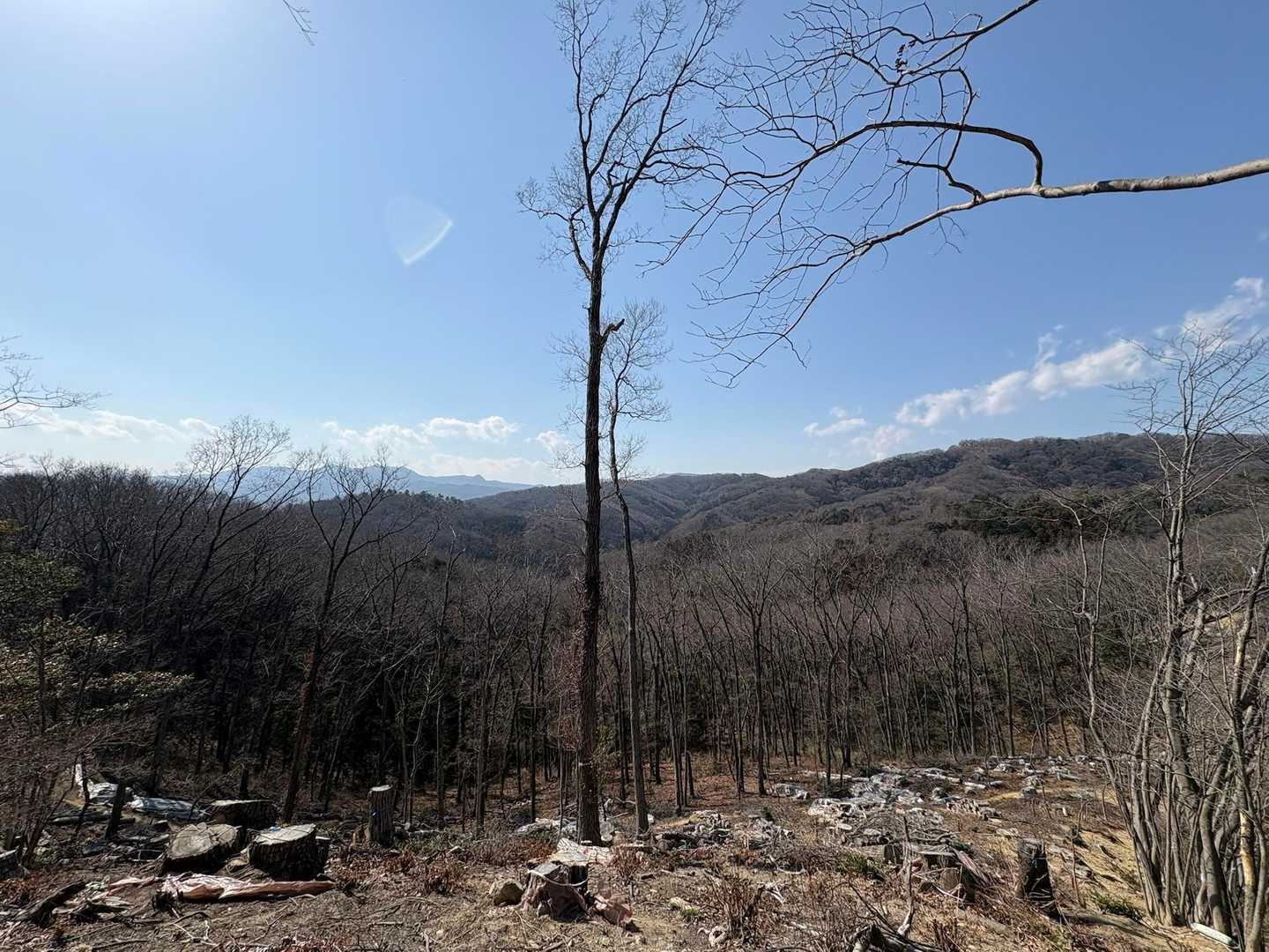 八幡山-鐘撞堂山 周回コースの写真