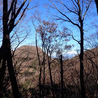 真富士神社からの第2
⛩️ご挨拶してから
お腹減ったのでもう一度　真富士山へ