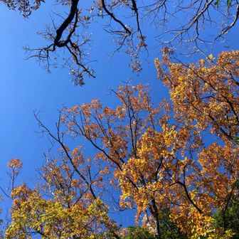 リラックス！リフレッシュ！