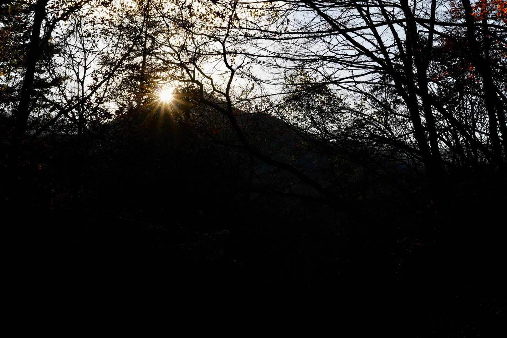三ッ峠山から昇る朝陽
