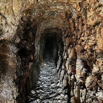 こわごわ進みます😱50歩ほど進みましたが、まだまだ先がありそうなので、あきらめて引き返しました。
分岐点に戻って長尾山に向かいます。