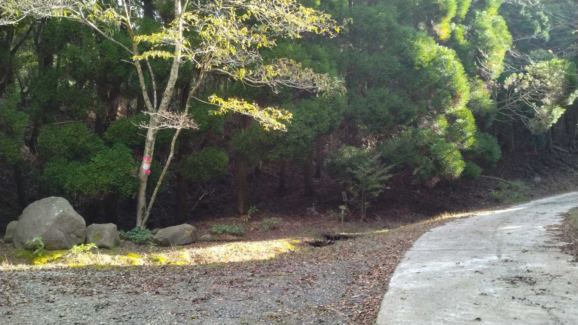 ここが取り付きです