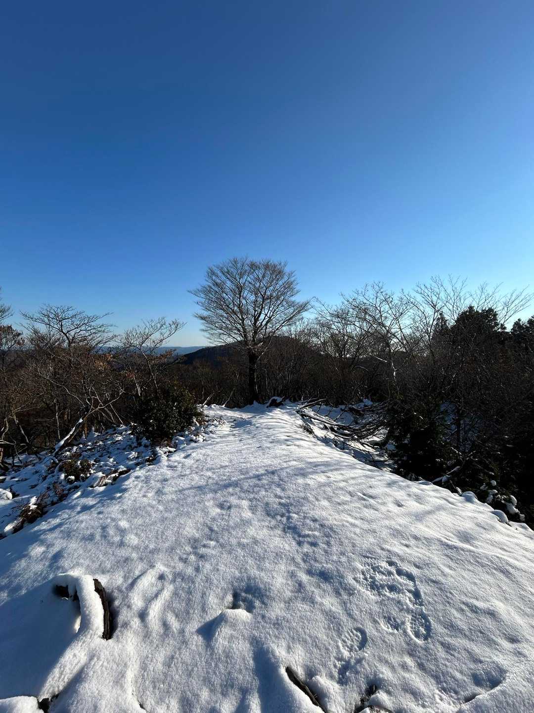 積雪は３センチくらいかな✨