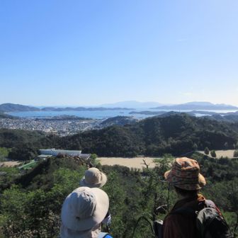 スポーツセンター