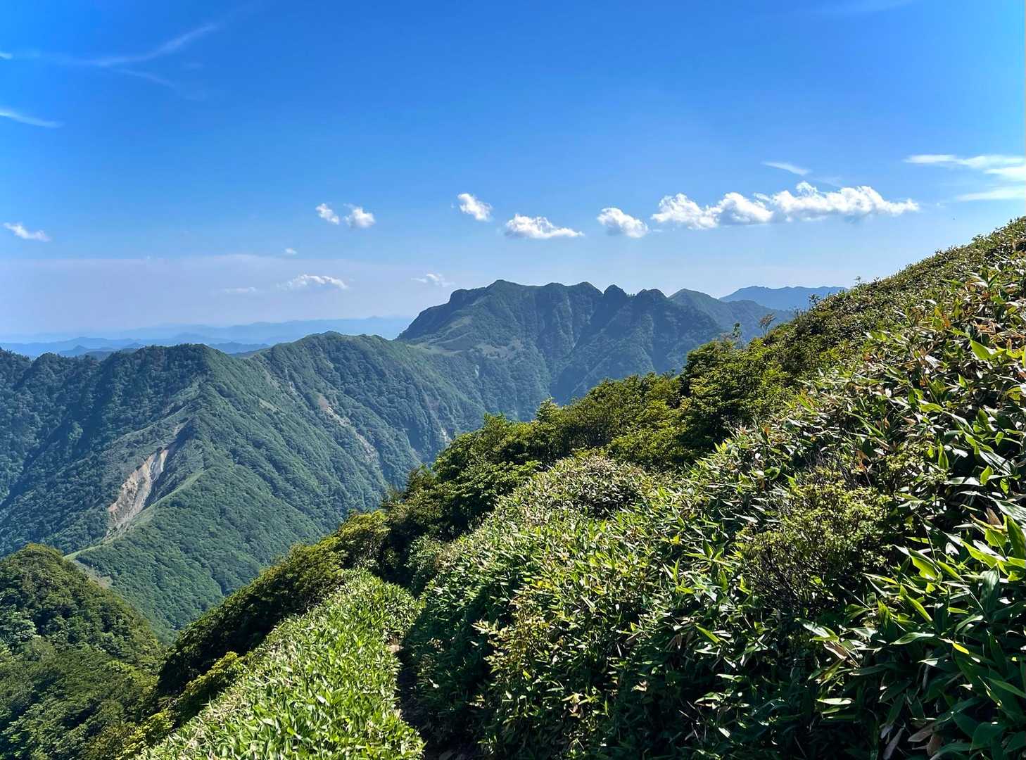 山頂もいいけど、遠くから眺める伊予富士もいい。