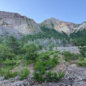 崩れかけの櫛ヶ峰と立ち枯れ更地ゾーン。