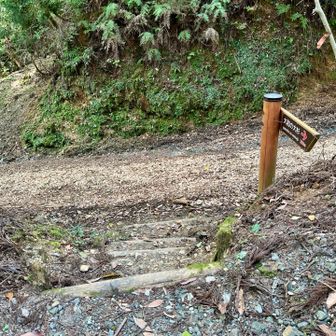 落陽コース（セラピーコース）に戻る