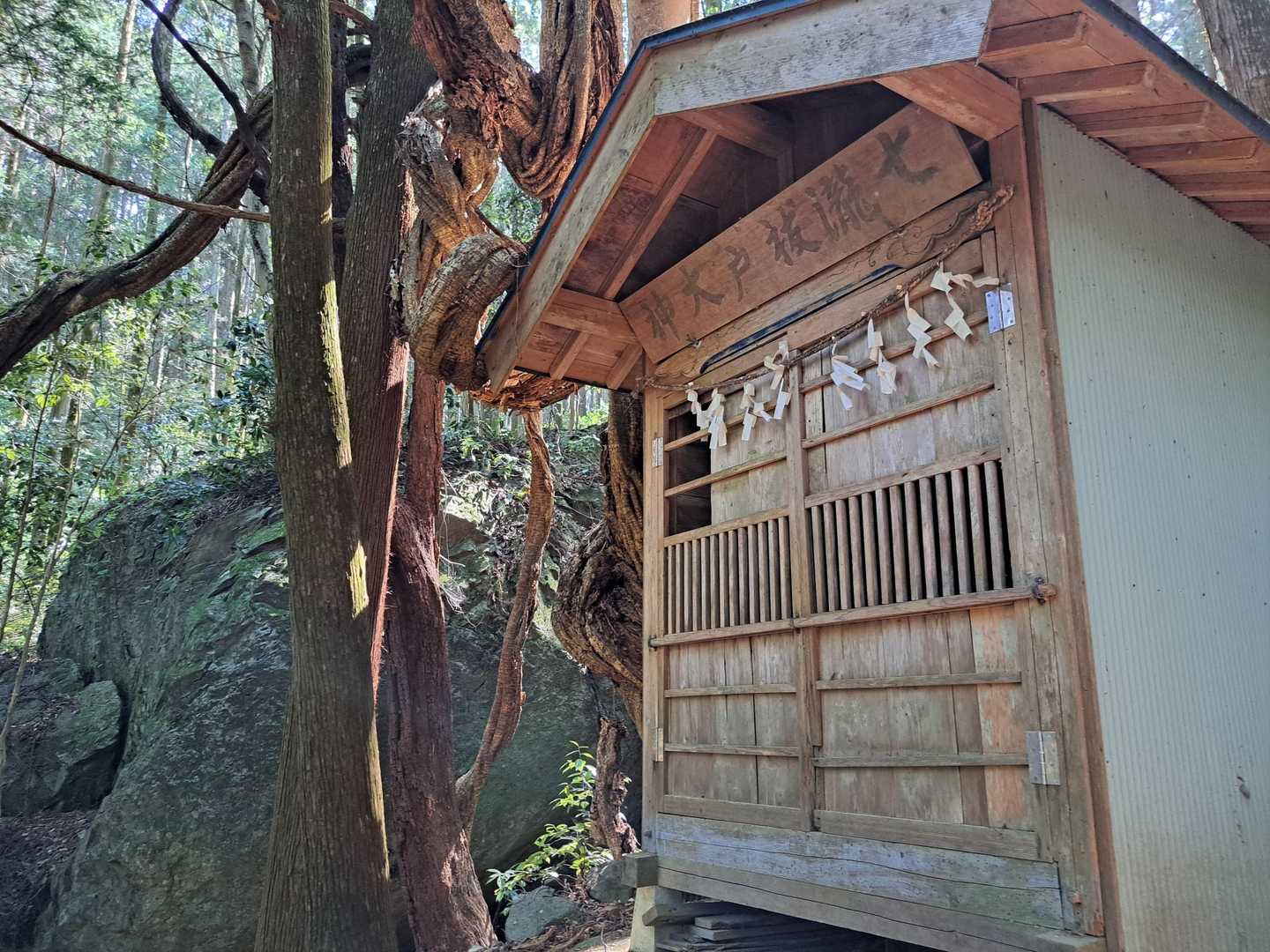 途中、七瀧抜戸神社へお参り😽
