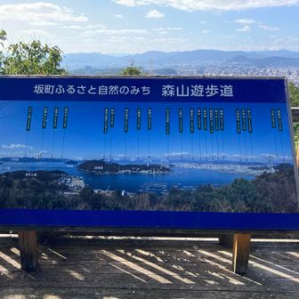 森山の山頂。この案内図が秀逸。いろいろな山が示されている。案内図を見ながら東郷山や深入山の山頂を確認することができる。これはいい！じっと見ている間に蚊に刺された。