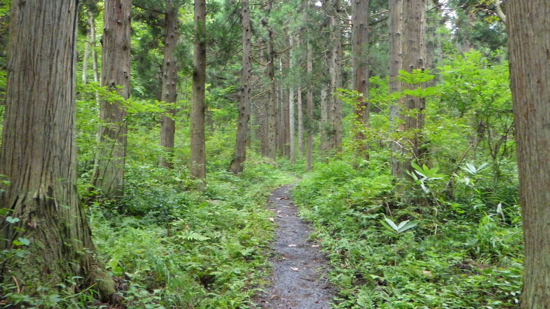 水晶山 周回コースの写真