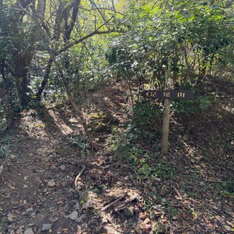 また舗装路に出ました。
一本杉峠はまだ先です。