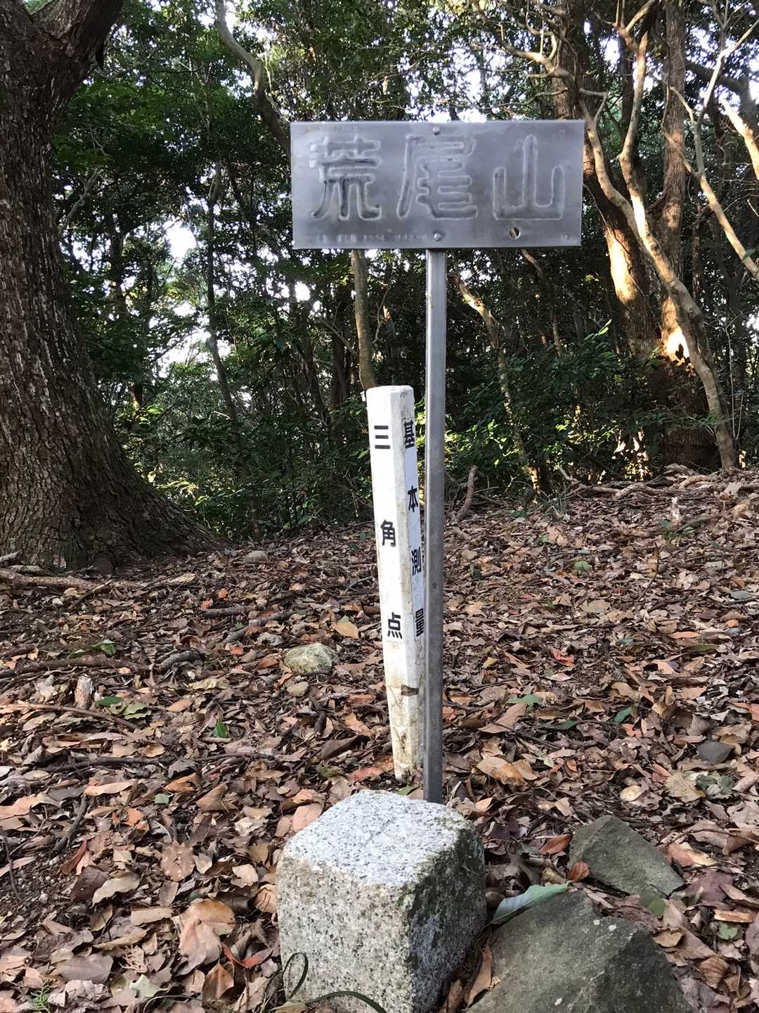 まっすぐ激登のすえ、荒尾山山頂。
