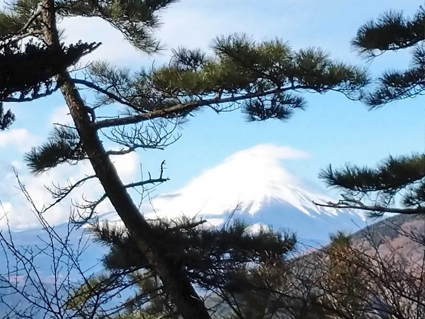 蓑毛バス停-大山-大山寺-大山ケーブルバス停 縦走コースの写真