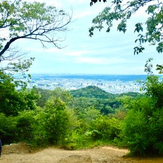天覧山と飯能市街地