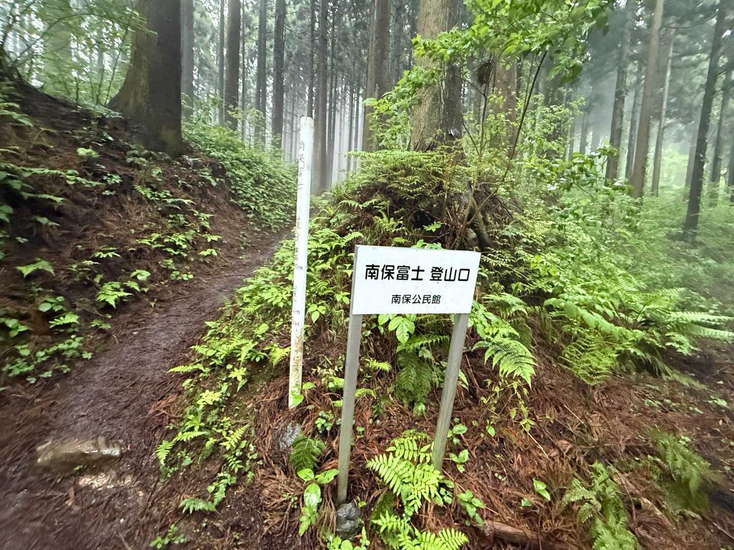 南保富士 往復コースの写真