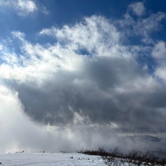 太陽さん出てると暖かいな