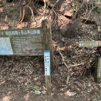 峠に到着！山本山方面にもここから行けるみたいです