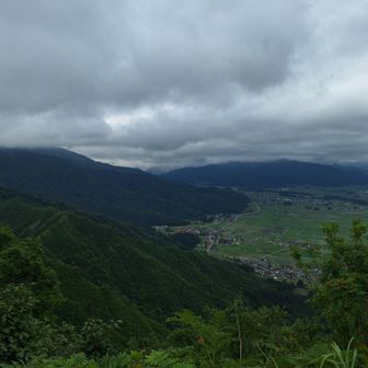 なんだかいつ降ってきてもおかしくない雲行きになりました👀