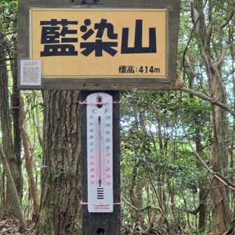 藍染山山頂