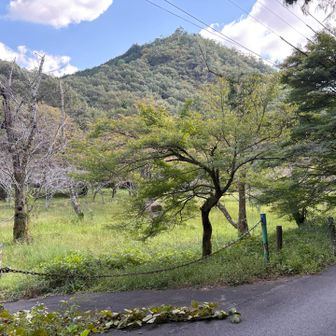 岩舟緑地の看板あり。チェーンを跨いで緑地を横断し、東の川沿いに進む。正面に見えるのが志段見山。
