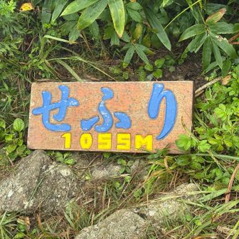 気温は暑くないが、湿度が高いのか、ガスのせいか、雨露か、ずぶ濡れ💦