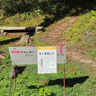 笹ヶ峰登山口に降りてきました。ここから車道歩き🚶‍♂️3.5km