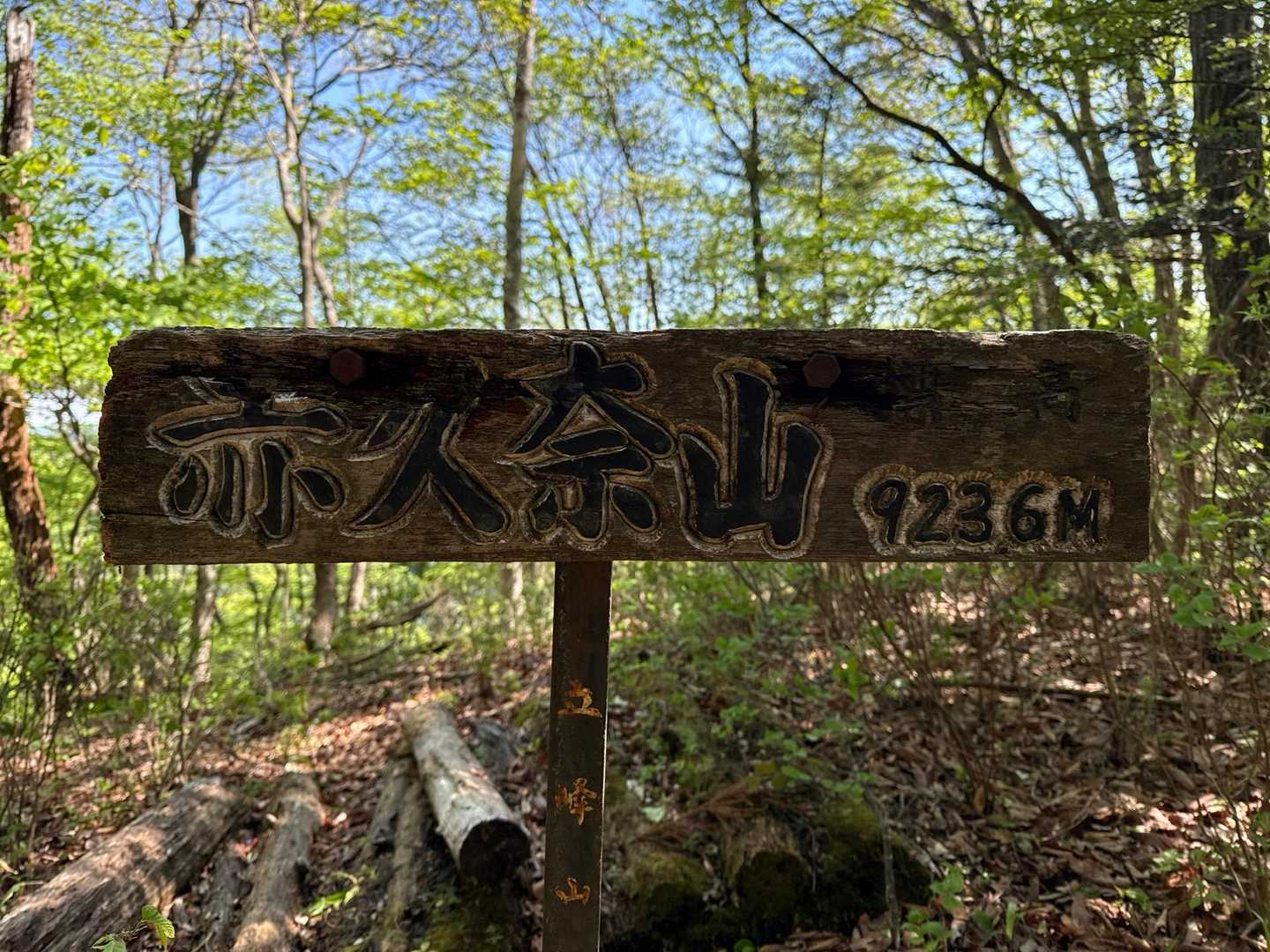 赤久奈山登頂923.6m