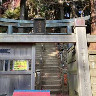 急傾斜の階段で一段一段が平坦ではないので重心に気をつけて登りました。