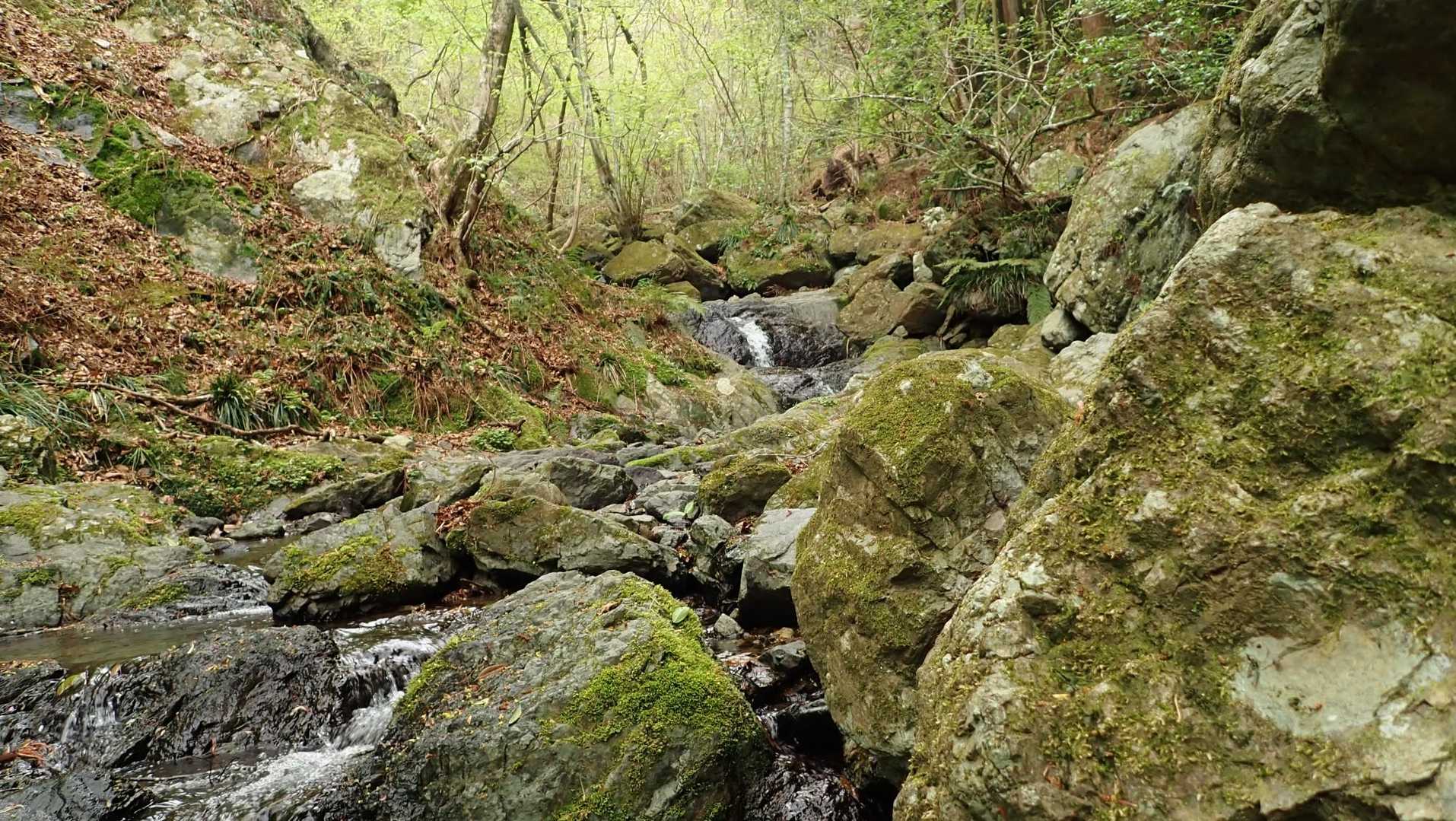 沢山の植生があって飽きません👍