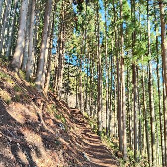 傾斜が自分にとってちょうどよい笑