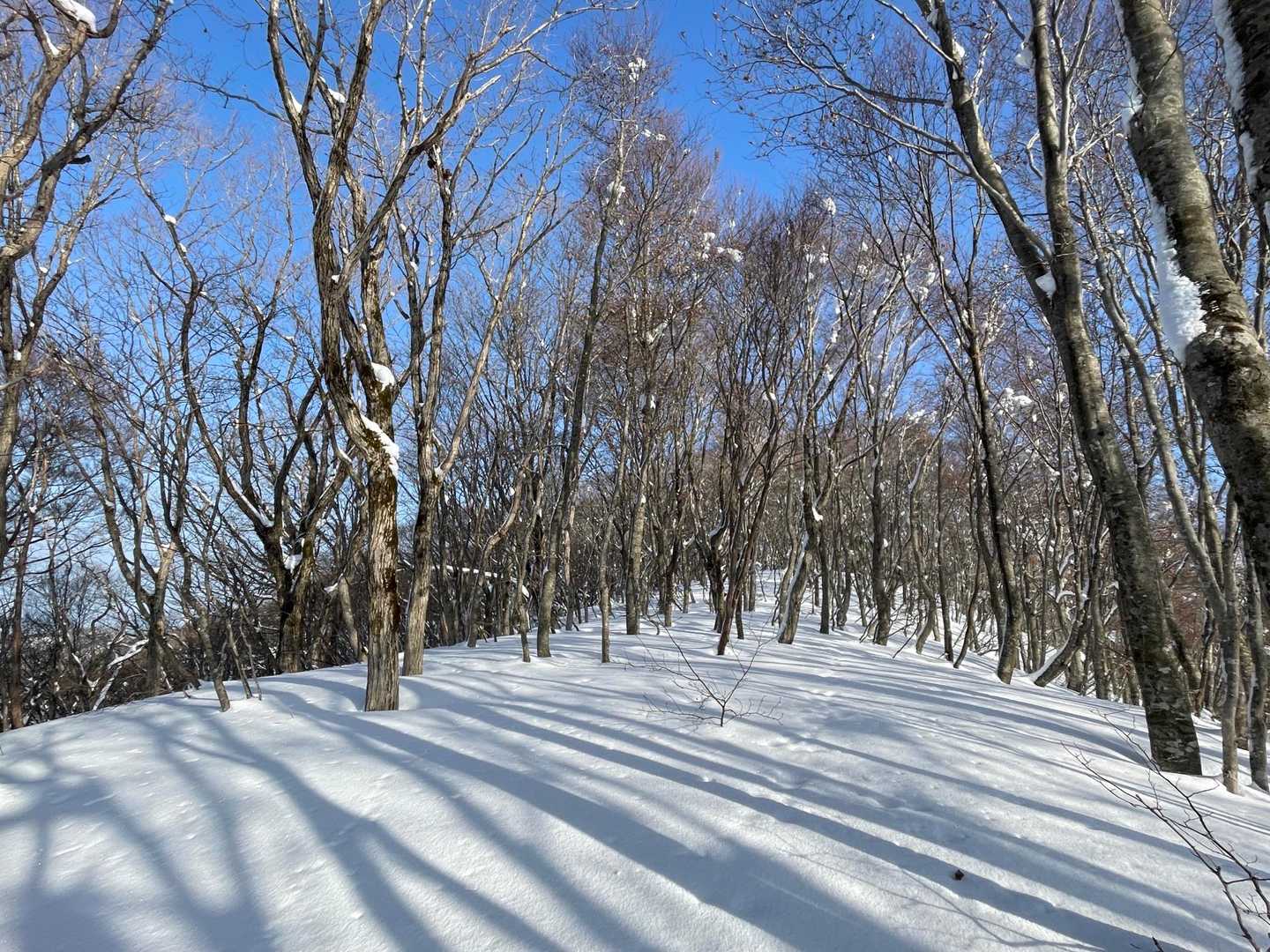 めちゃくちゃ快適なスノーハイク。
