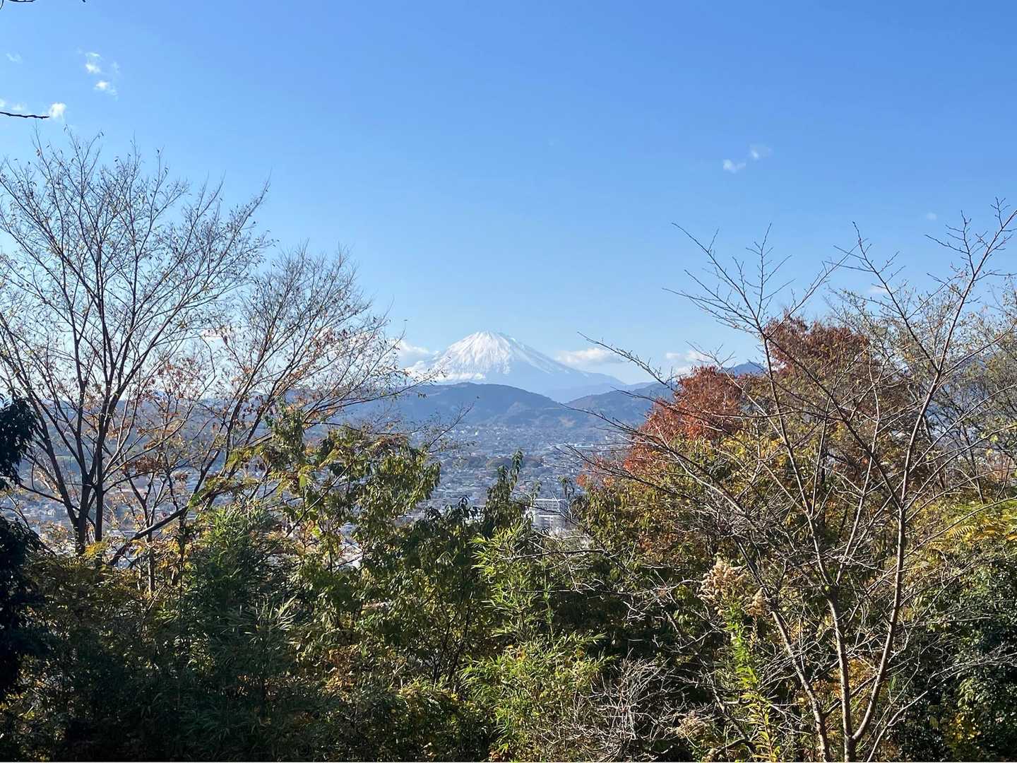 富士山見えた！