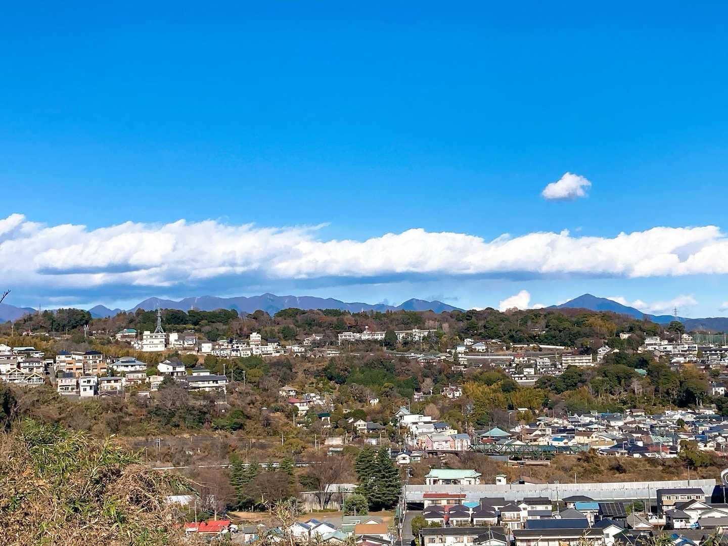 遠くに見えるのは丹沢の山々でしょうか…⛰