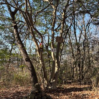 烏岳山頂眺望なし！