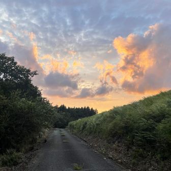 ずっとどんよりとしてた空模様、登山口に帰って来る直前急に明るくなりました✨