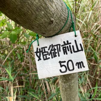 山頂到着