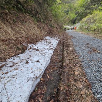 まだ雪が残ってる👀
