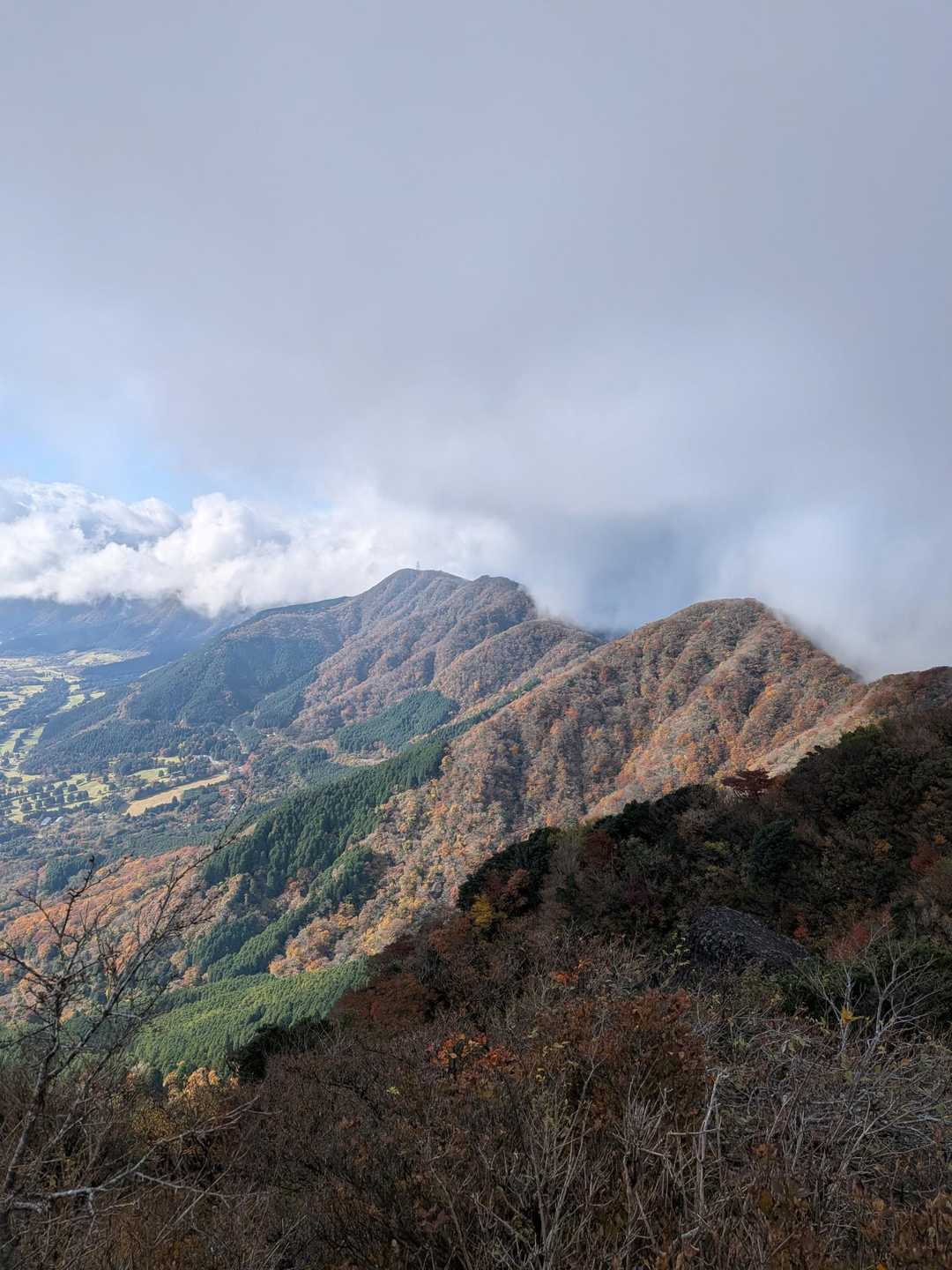 公時神社登山口-金時山-金時山登山口-金時登山口バス停 縦走コースの写真
