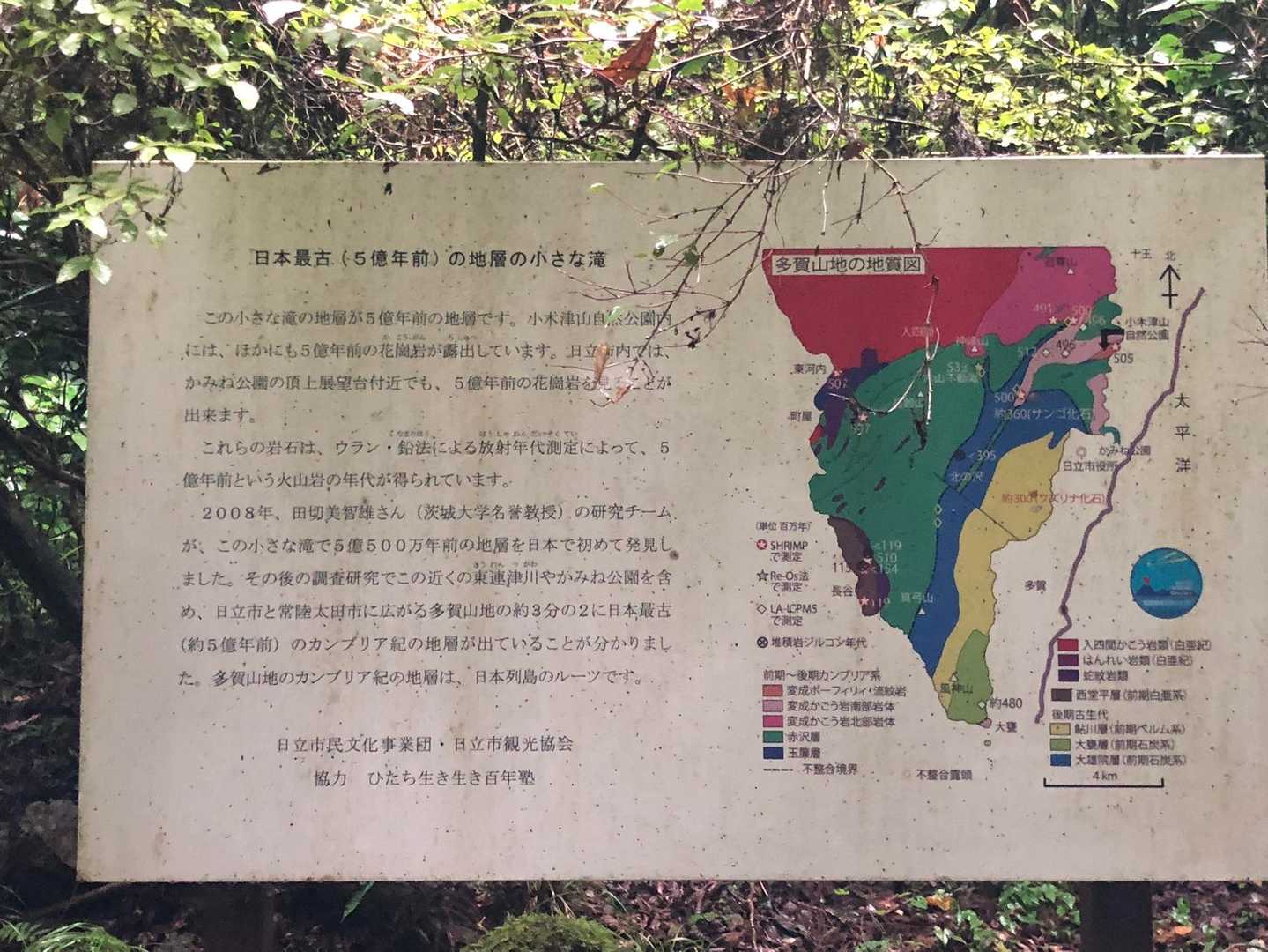 なるほど🤔